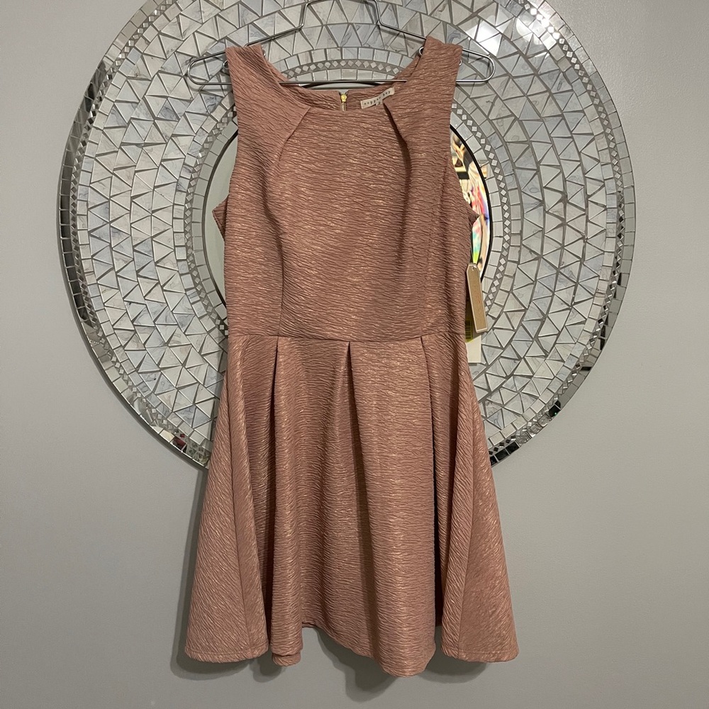 Copper Key Dusty Pink and Gold Dress